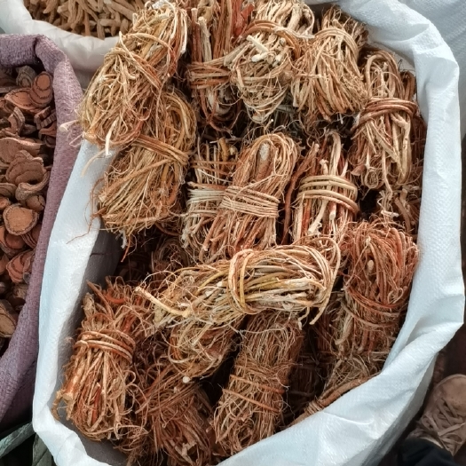 玉林五指毛桃