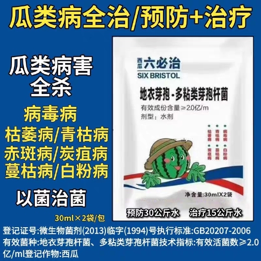 西瓜六必治杀菌剂叶面专用肥防死苗甜香瓜哈密瓜枯萎蔓枯病药