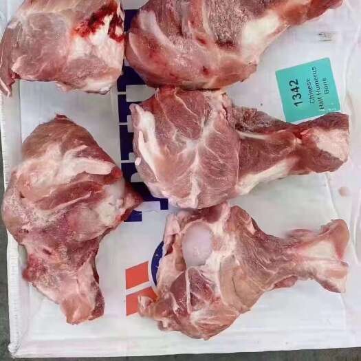 临沂0617多肉前筒骨