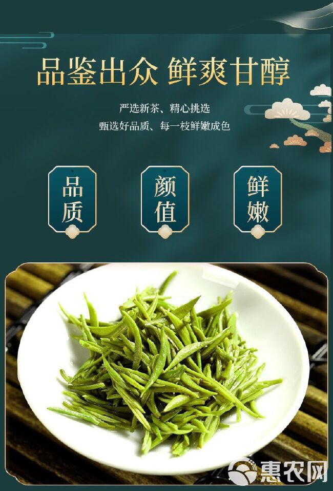 毛尖2023新茶毛尖绿茶春茶新茶浓香型嫩芽茶叶