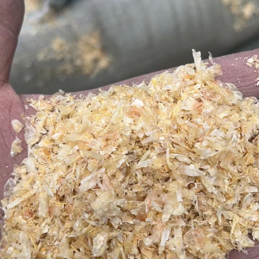唐县玉米大白皮  无浆玉米皮
