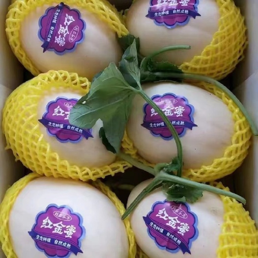 莘县红金蜜，东方蜜，白皮红肉耐储存运输，一手货源产地直发！超