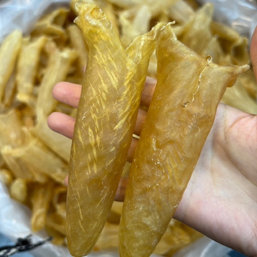 广州黄花胶33头