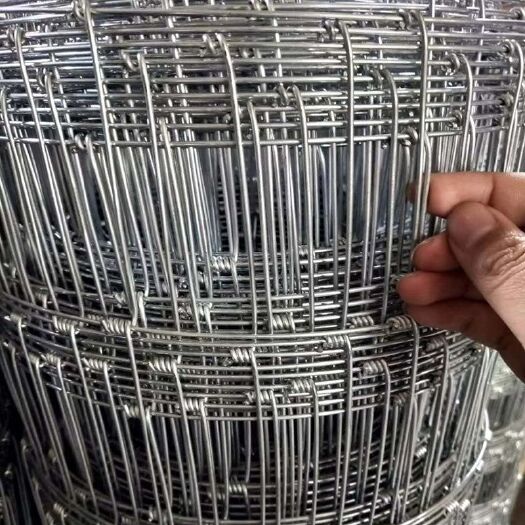 镀锌防锈铁丝网牛栏网养殖围栏网