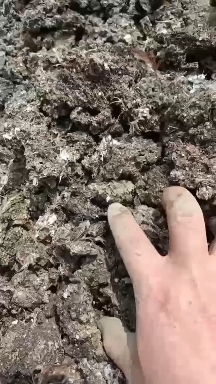 唐河县河南南阳干鸡粪块，280一吨，商家直销，货源稳定 ，有保障