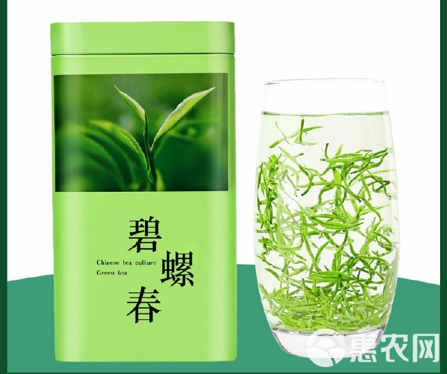 嫩芽碧螺春 明前新茶嫩芽碧螺春绿茶茶叶批发250g500