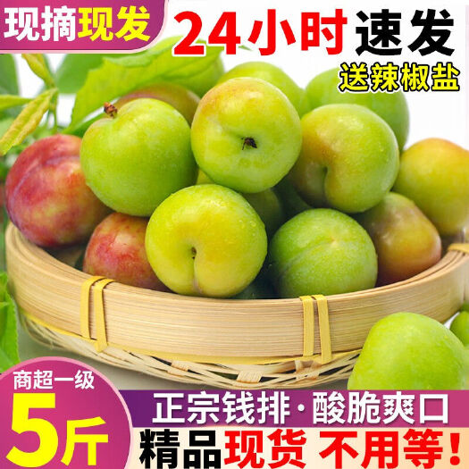 【当天采摘】三月李子新鲜青脆李酸甜水果应季现摘包邮5斤