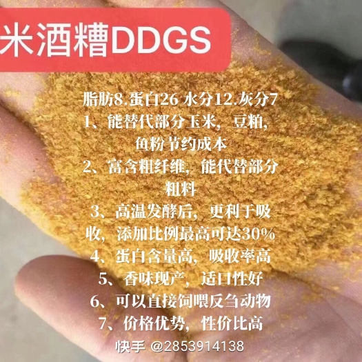 石家庄玉米酒糟，蛋白26脂肪26水分13