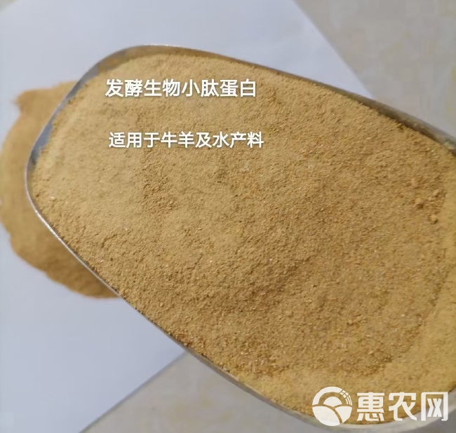 小肽蛋白粉，粗蛋白90%以上，水产养殖饲料添加剂