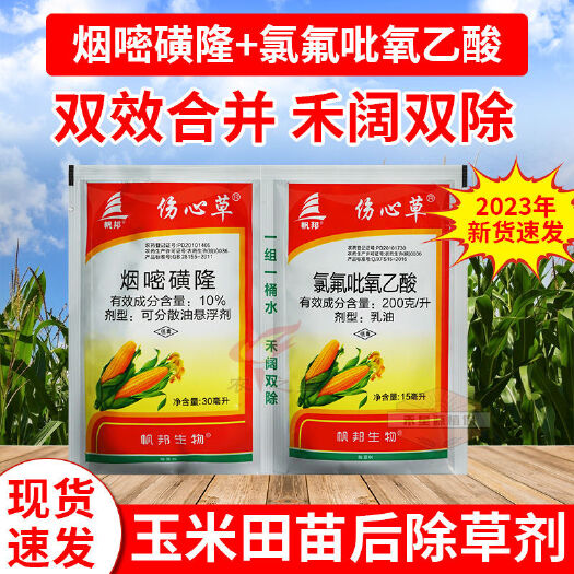 天门市玉米苗后伤心草除草剂烟嘧磺隆玉米地除草剂不伤苗杂草包谷地专用