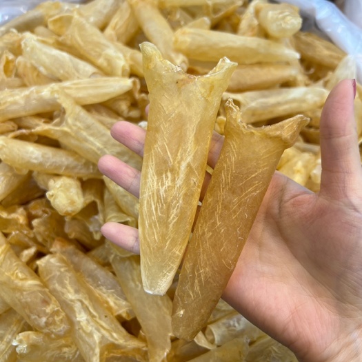 广州黄花筒60头