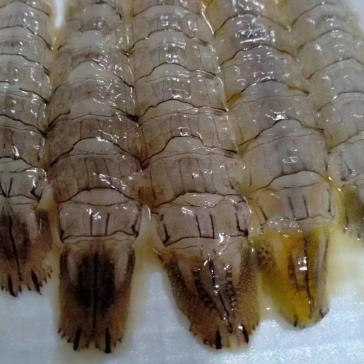 连云港手剥原浆皮皮虾肉 爬虾肉 肉馅 炸 煮面 煲汤