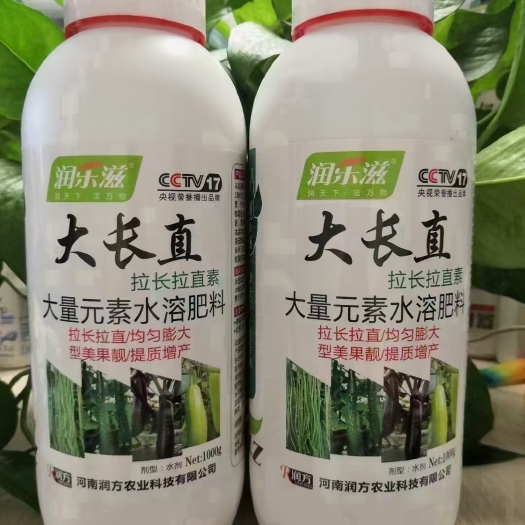 郑州大长直
