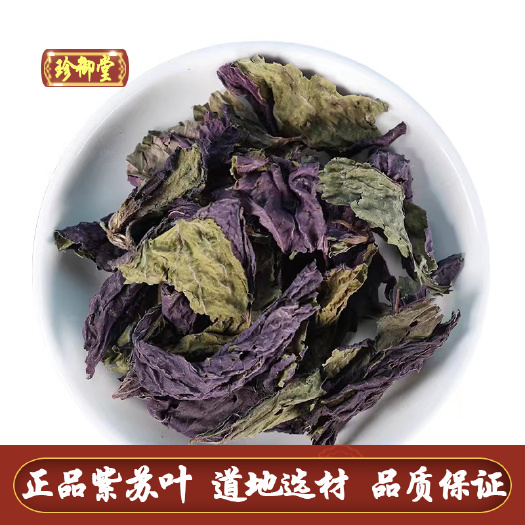 紫苏叶 干紫苏叶 正品紫苏 现货供应紫苏叶 质量保证紫苏叶