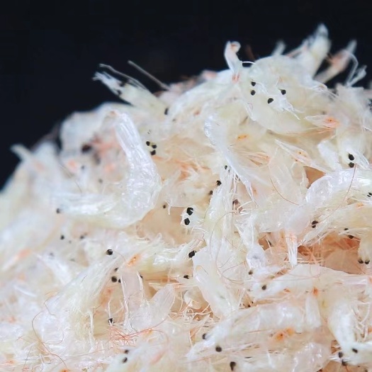 厂家批发新鲜淡干无盐虾皮 新鲜虾皮 淡干虾皮500g包装5斤