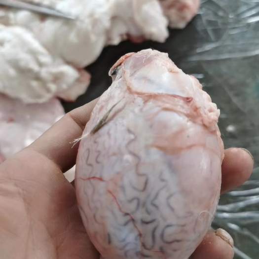 张掖精品羊蛋，也叫羊宝，量大从优，