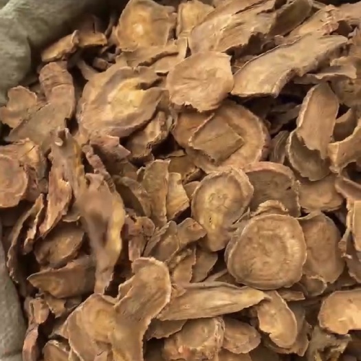 亳州大黄 菜籽黄 马蹄黄