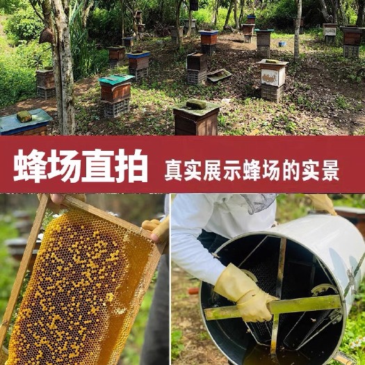 惠来县蜂蜜荔枝花桂味花龙眼花