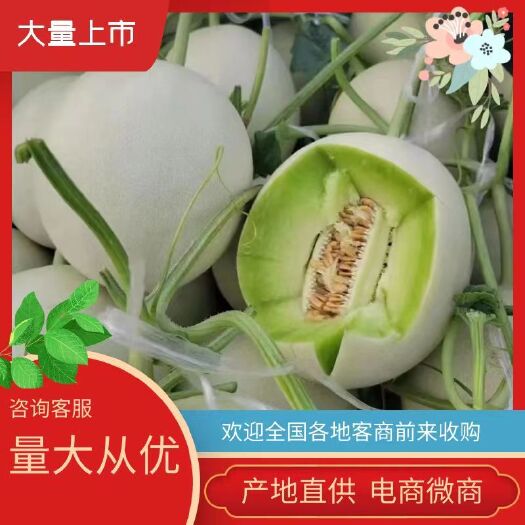 玉菇甜瓜，冰激凌玉菇，冰清玉菇，产地货源，