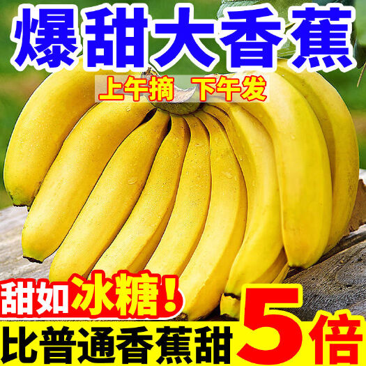 恭城县【甜】云南高山香蕉当季新鲜水果自然熟非芭蕉带箱9～9.5斤