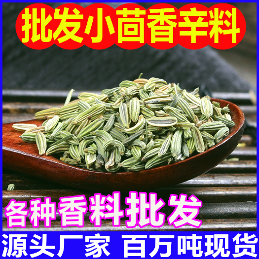 玉林小茴香香辛料调料一站式采购 甘肃绿色茴香 批发香料大全