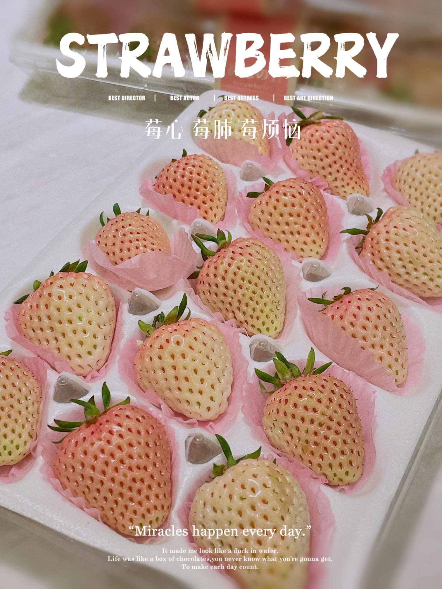 昆明日本天使草莓