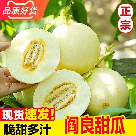 西安9斤阎良甜瓜超甜小籽蜜瓜新鲜香瓜白玉白瓜应季当季水果整箱海南