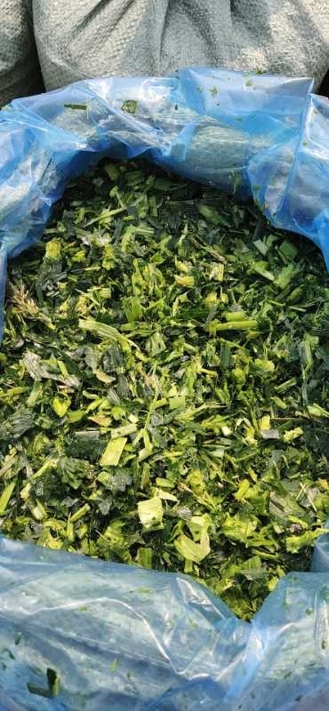 惠州新鲜青贮甜玉米秸秆现打现发