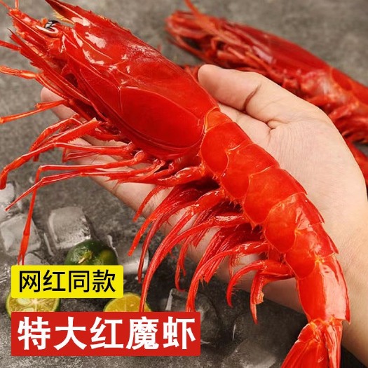 红魔虾网红红魔虾海捕鲜活速冻牡丹虾日料刺身超大款  时价