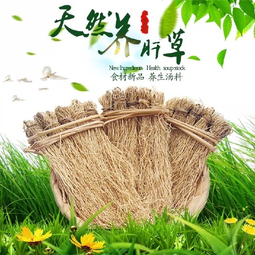 产地直销批发养肝草龙须草农家粤北丝线根草1件10小扎包邮