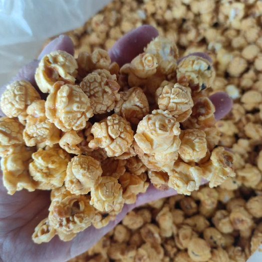 正定县食品厂爆米花，香甜奶油口味，代替压片玉米降低成本