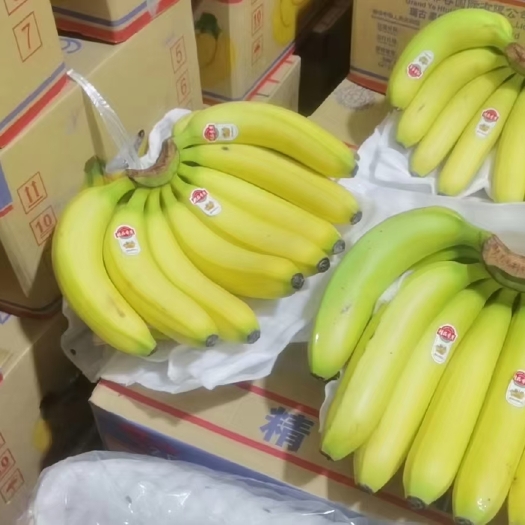 邯郸老挝一级蕉，9公斤，质量三包