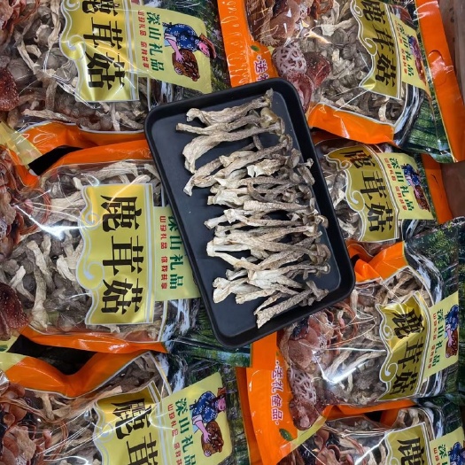平和县鹿茸菇