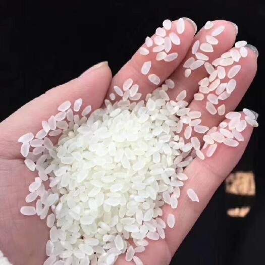 沈阳东北湿地大米锡伯贡米七星大米50斤装