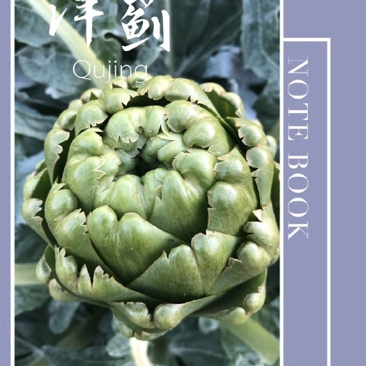 陆良县新鲜洋蓟朝鲜蓟绿色蔬菜产地直销现摘现发