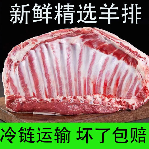 羊排新鲜现宰沂蒙山羊排羊肉新鲜冷冻现杀羊排骨肋排烧烤羊肉包邮