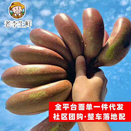 南宁红美人源头产地 对接社区团购 电商全平台一件代发