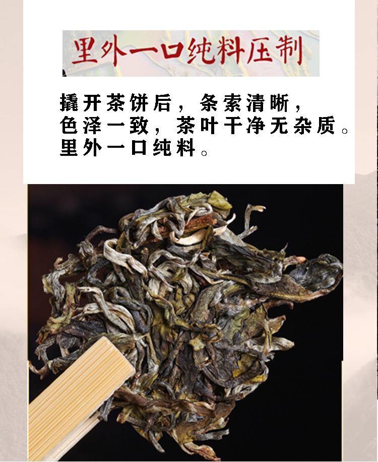 云南茶农自销2019年春迷帝古树茶357克茶饼买6送1七子饼