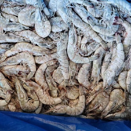 至高无上大板12kg，批发一件代发