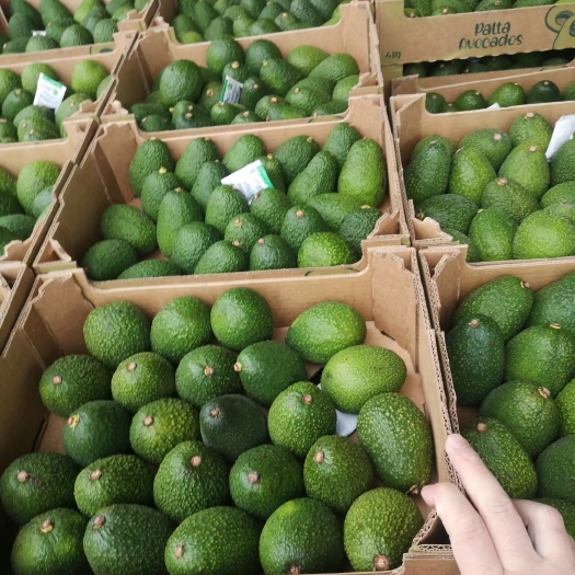 上海生果/即食牛油果，国内外直采，批发，电商代发，有量有价