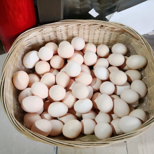 龙里县贵州本地产鸡蛋