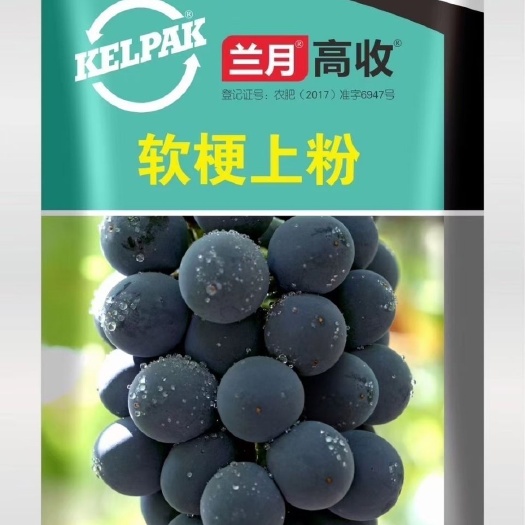 兰月高收软梗上粉叶面肥
