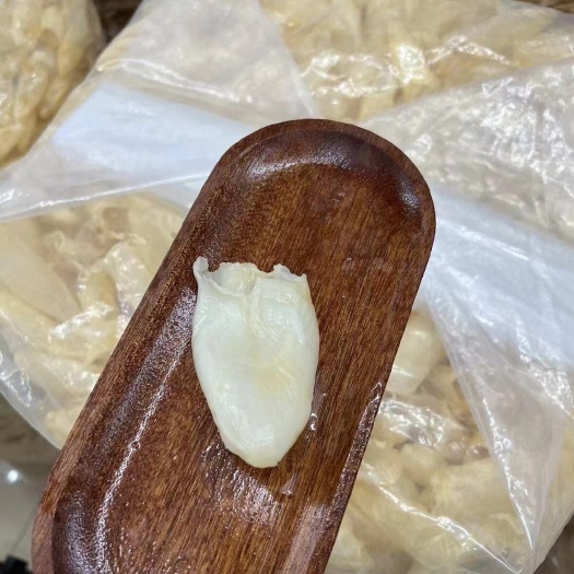 广州100头咸水胶