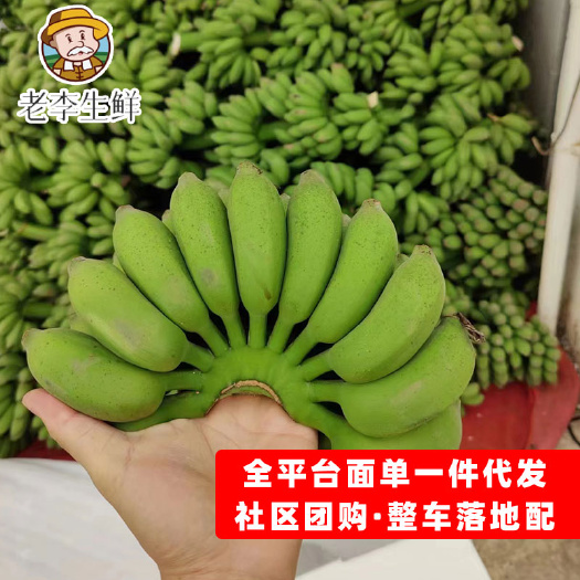 南宁小米蕉源头产地 对接社区团购 电商全平台一件代发