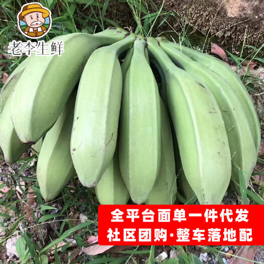 南宁牛角蕉大芭蕉源头产地 对接社区团购 电商全平台一件代发