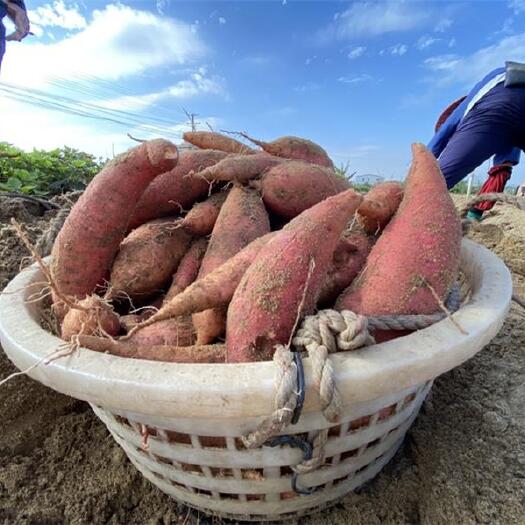 南宁西瓜红薯产地源头 全国发货 对接社区团购 电商全平台一件代发