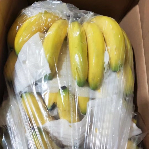 邯郸国产精品广东蕉，生蕉，二黄蕉，大量有货。净重17斤，毛重18