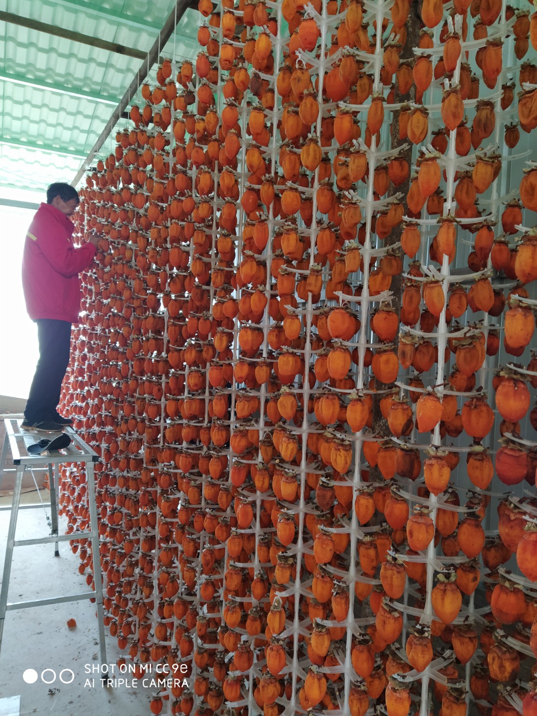 富平柿饼。独立包装，礼盒装2斤3斤5斤装。价格是小果包邮。