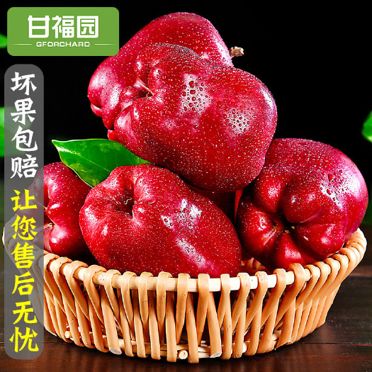 兴平市【甘福园】天水花牛苹果新鲜蛇果水果当季大红果粉面包邮