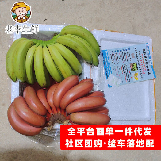 双拼蕉红美人/香蕉源头产地 对接社区团购 电商全平台一件代发